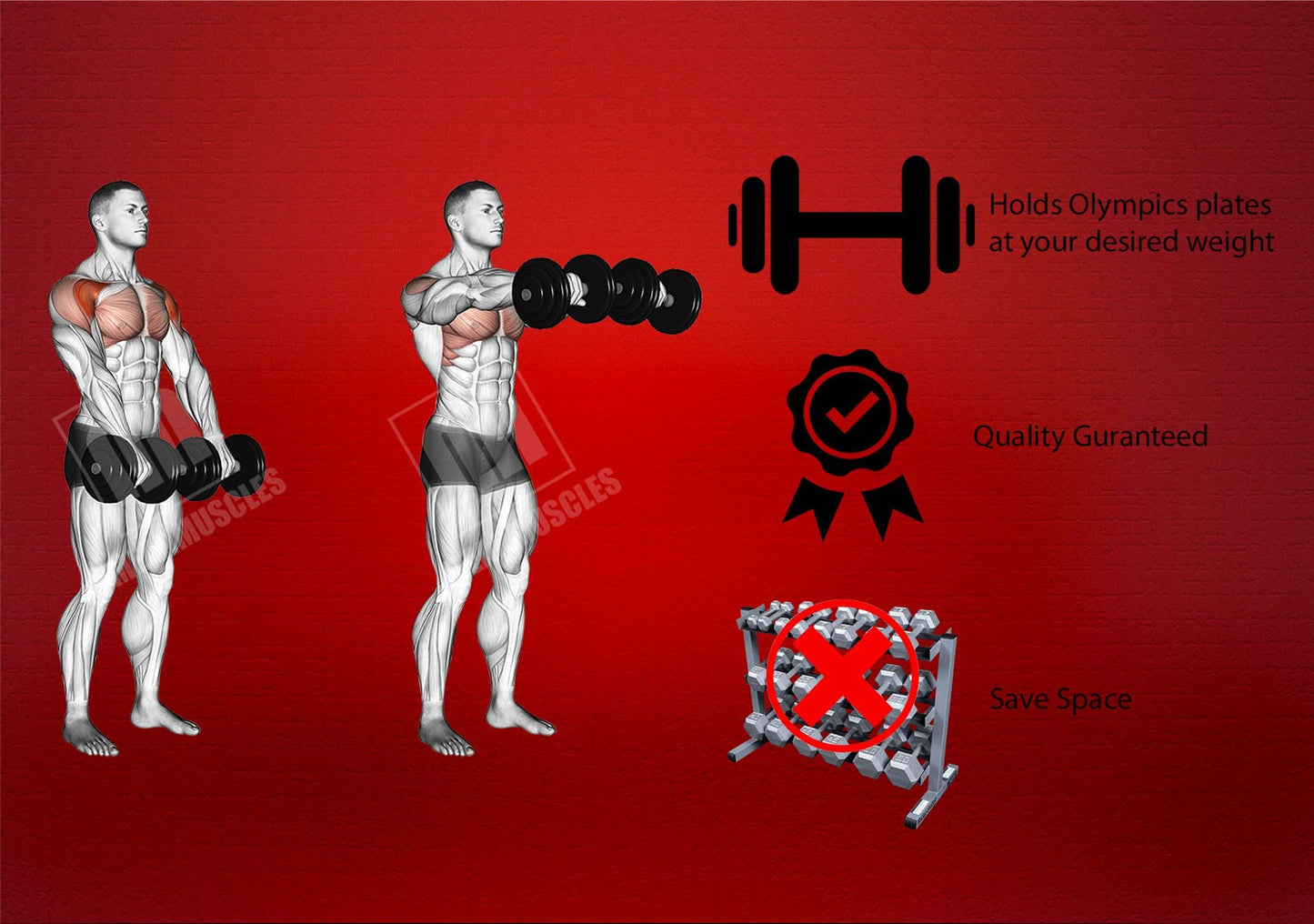 Strongway 2" Olympic Dumbbell Barbell Set Pair with Spring Collars
