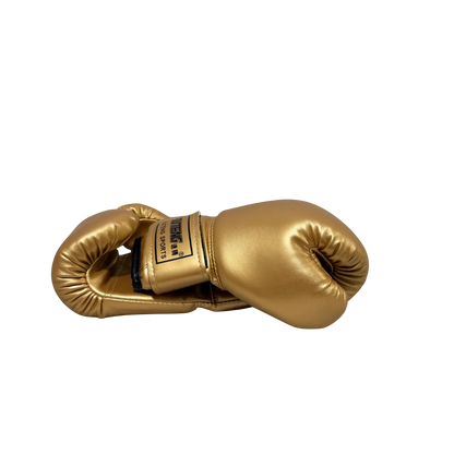 Kids Boxing Gloves Training Set