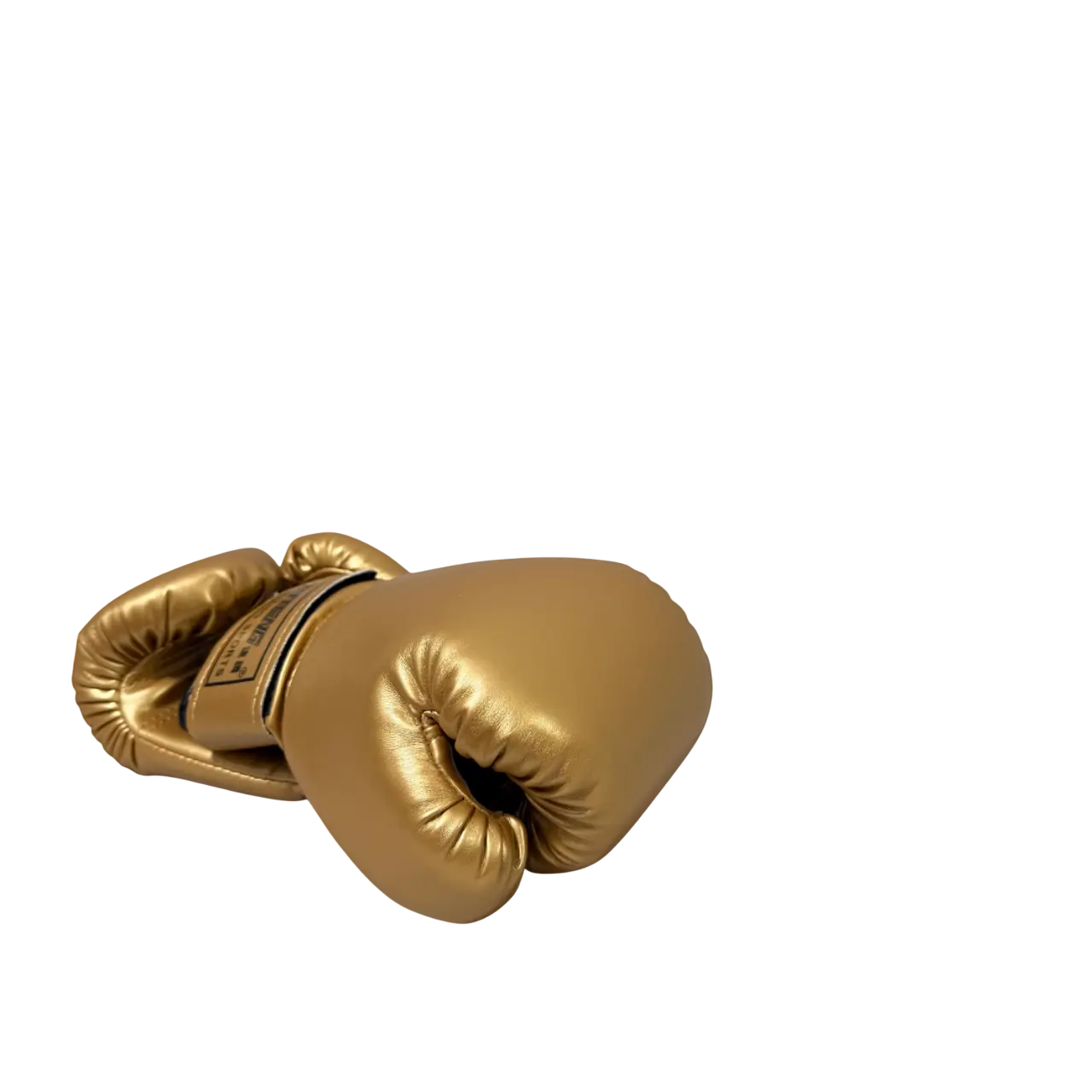 Kids Boxing Gloves Training Set