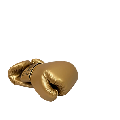 Kids Boxing Gloves Training Set