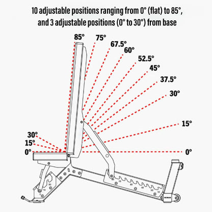 Strongway Ultimate Adjustable Heavy-Duty Commercial Grade Bench (450KG Rated)